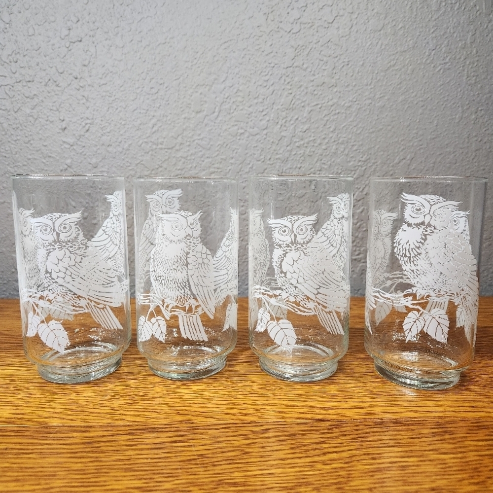 Libbey White Owls Clear Tumbler Drinking Glasses Set of 4